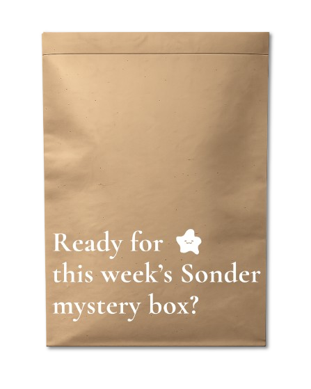 Mystery box bag